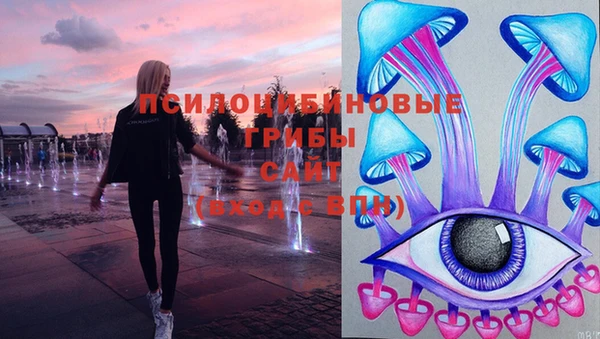 мдпв Зеленодольск