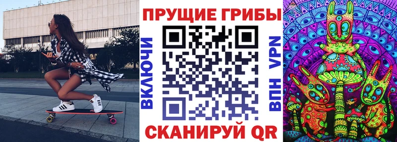 Купить закладки  Губаха  Псилоцибиновые грибы прущие грибы 